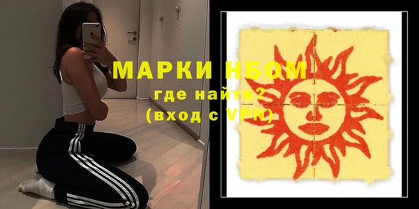 сатива Надым