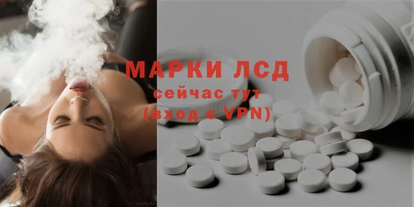 сатива Надым