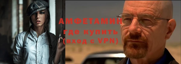 сатива Надым