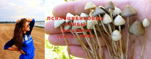 герыч Алзамай