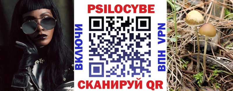 где продают   Углич  Псилоцибиновые грибы мицелий 